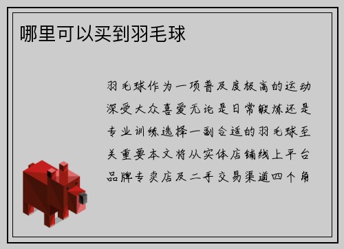 哪里可以买到羽毛球